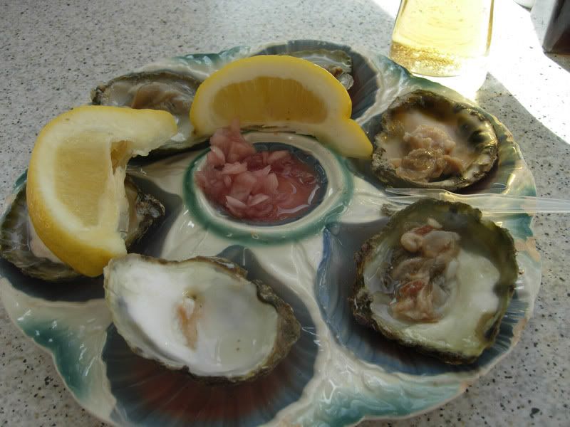 oysters