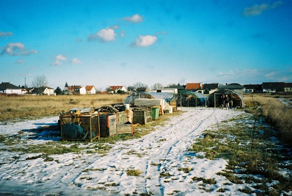 Willi's shed (yes it is as open to all comers as that!) © AJ Stevenson