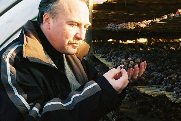 Willi demonstrates what's happened to a grape after being left to dry © AJ Stevenson