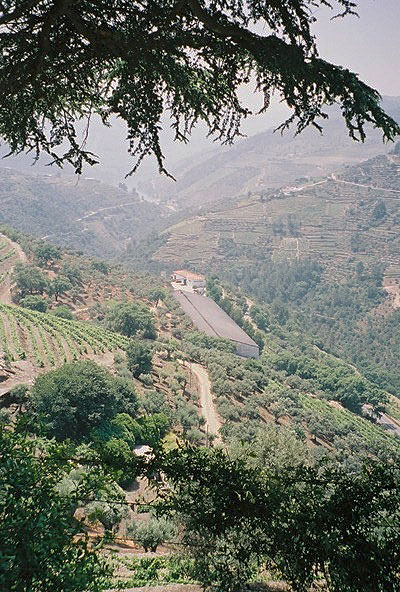 View from Noval towards Pinhao (the black roof building is Noval's "lodge" or barrell store, where the port is aged)