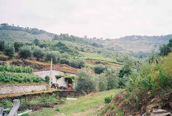 passadouro outpost barrels